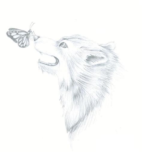 Wolf And Butterfly By Edwardslittlevampire On Deviantart