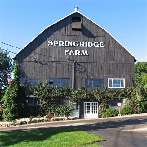 Springridge Farm! #travel | Farms living, Farm layout, Old barns