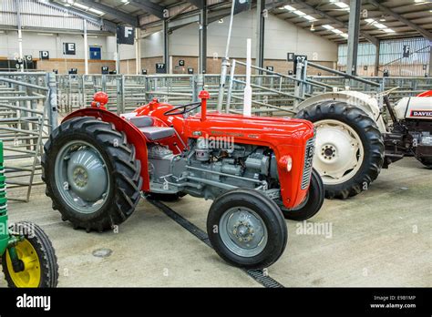 Red Massey Ferguson 35x At Vintage Tractor Show Stock Photo Royalty