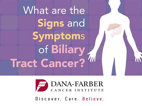 What Is Biliary Cancer Dana Farber Cancer Institute