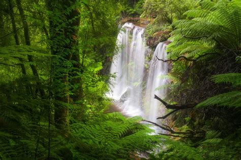 Green Forest Waterfall