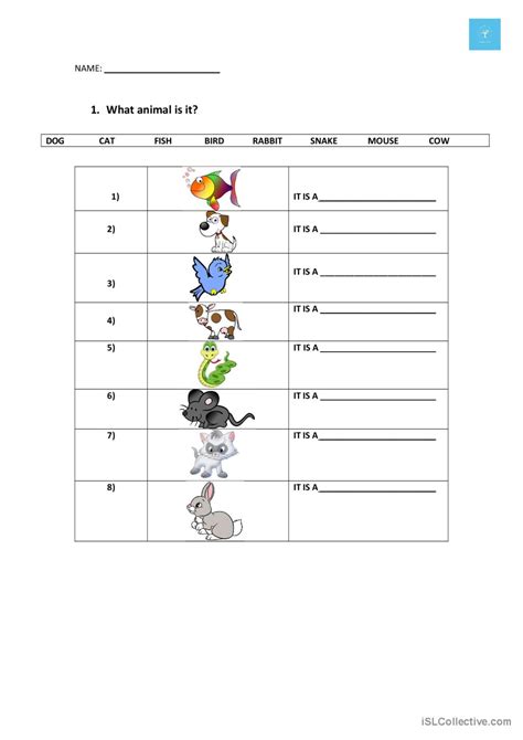 Animals Yes It Is No It Isnt English Esl Worksheets Pdf And Doc