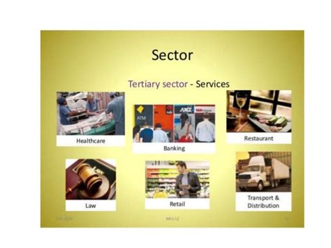 Tertiary Sector Other Activities