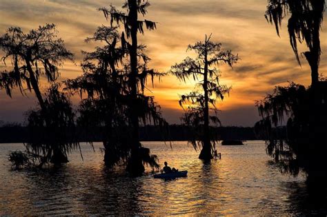 Louisiana Swamp Scene Louisiana Swamp Sunset Lake
