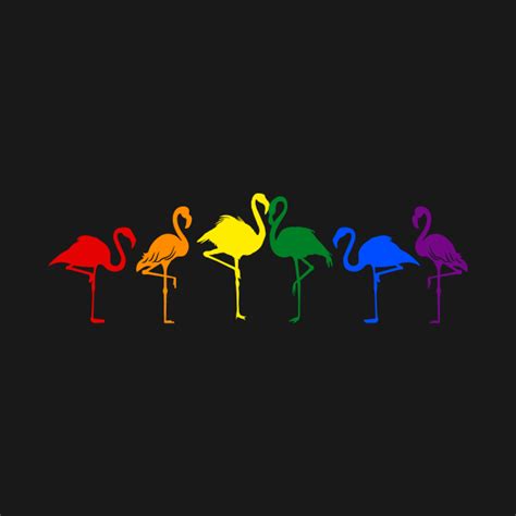 Lgbt Pride Flamingos In Flag Colors T Shirt Lgbt Pride Flamingos Hoodie Teepublic