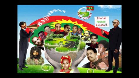 Guyyaa Gootota Oromoo Ebla 15 Ilaalchisee Wallee Haaraa Hawwisoo