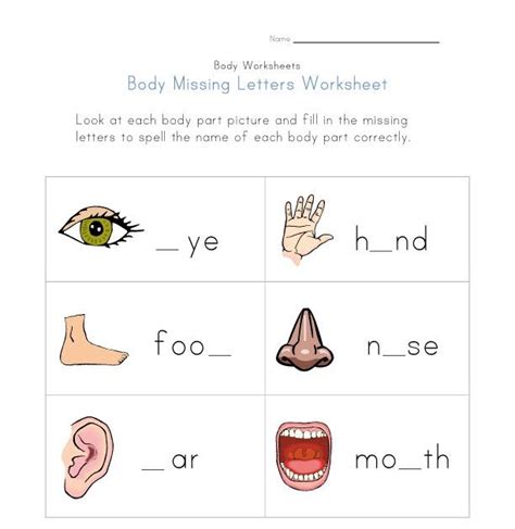 Help kids learn with this collection of free worksheets. Label Body Parts Worksheet For Grade 1 Pdf - Free Download Wallpaper