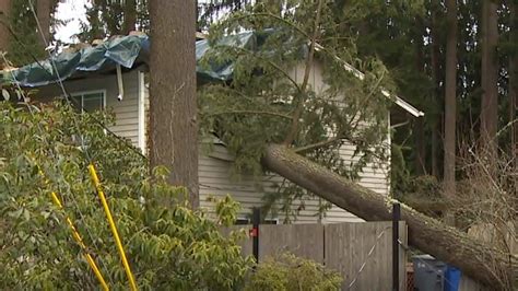 Overnight Windstorm Wreaks Havoc Across Western Washington
