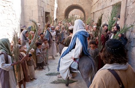 Lent The Triumphal Entry The Burrow Blog