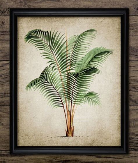 Vintage Palm Tree Print Palm Tree Palm Tree Botanical Wall Etsy