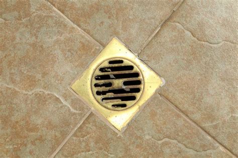 Why Does My Shower Drain Smell All The Reasons Explained
