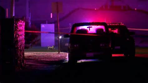 Man Shot And Killed By Mendota Police After Attacking Woman With Knife