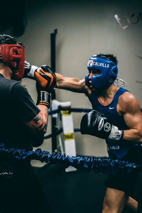 Male Fighters In Boxing Gear Training In Ring · Free Stock Photo