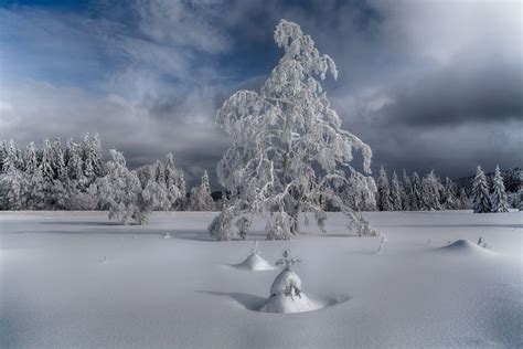 Black Forest Winter Magic Foto And Bild Jahreszeiten Winter