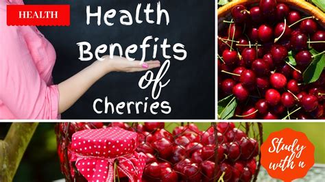 Health Benefits Of Cherries Youtube