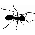 Ant Transparent Ants Clipart Icon Clip Silhouette