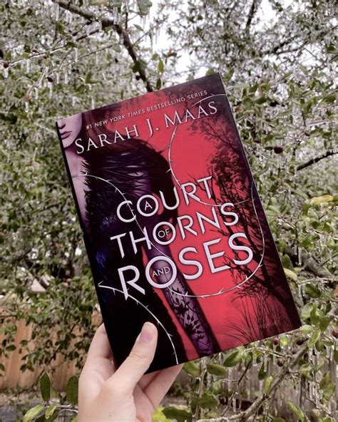 A Court Of Thorns And Roses Book Review Vandegrift Voice
