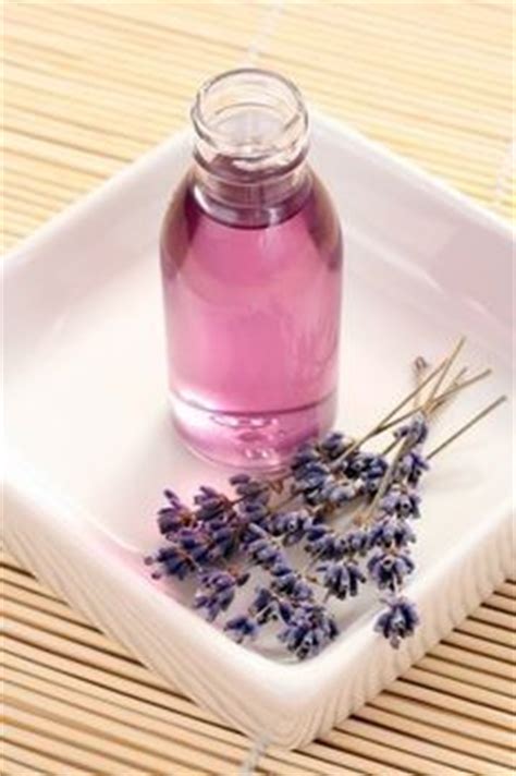Learn more about which surprising smells cats hate, including citrus, lavender, and a dirty litter box. How To Make Lavender Oil At Home
