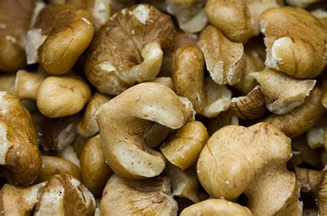 Black Walnut Tree Julans Nigra Edible Nuts Plus Timber Wood Etsy