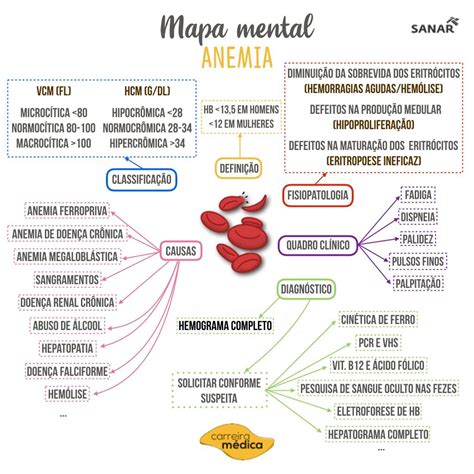 Mapa Mental Anemia Hematologia