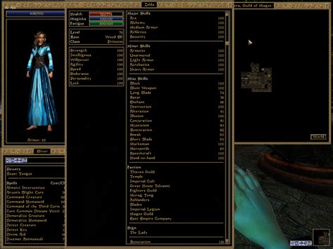 Morrowind A Beginners Guide To The Skills And Attributes System