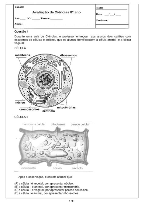 Exercicios Sobre Celulas Procariontes E Eucariontes 7 Ano Com Gabarito