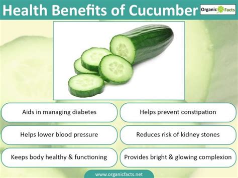 5 Wonderful Benefits Of Cucumber Oze Marketing Memo Plus Gold Memory Enhancer