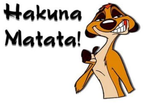 no worries! | Hakuna matata, Funny day quotes, Hakuna