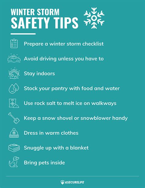 Winter Storm Tips A Guide To Safe Asecurelife Com