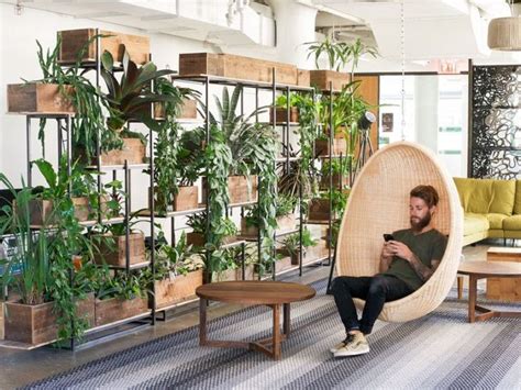 Everything You Need To Know About Biophilic Design In 5 Minutes Cool