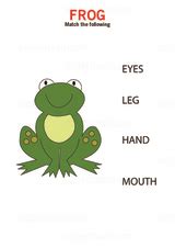 Free foundation Science Worksheets