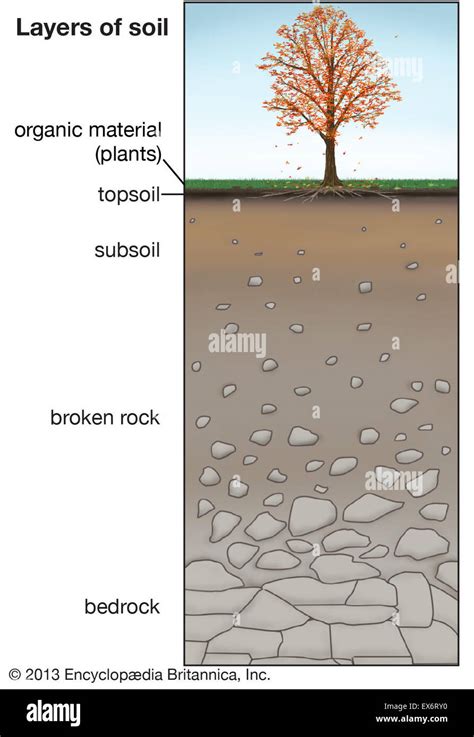 Layers Of Soil Stock Photo Alamy