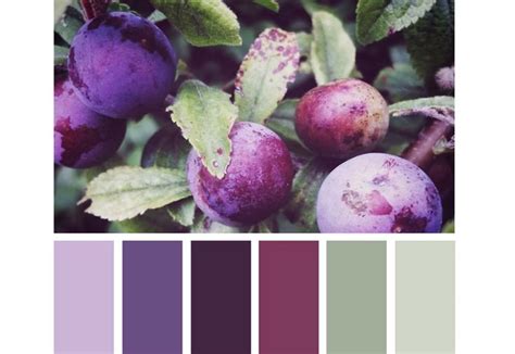 Plum Shades Color Palette Purple Color Palettes Bedroom Colors