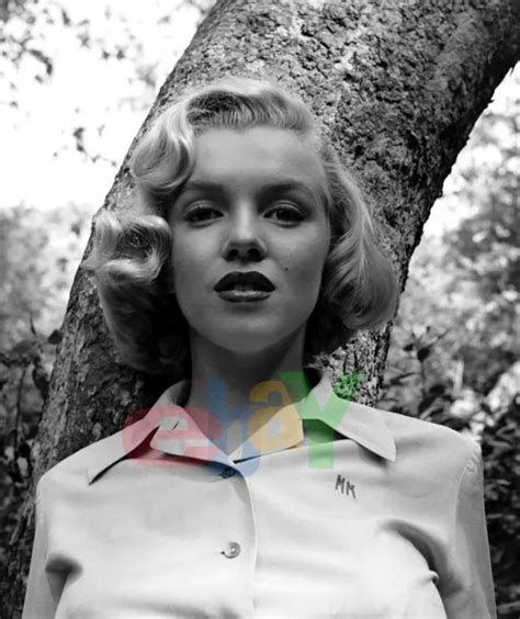 Rare Marilyn Monroe Actress And Sex Symbol Pin Up 8x10 Publicity Photo
