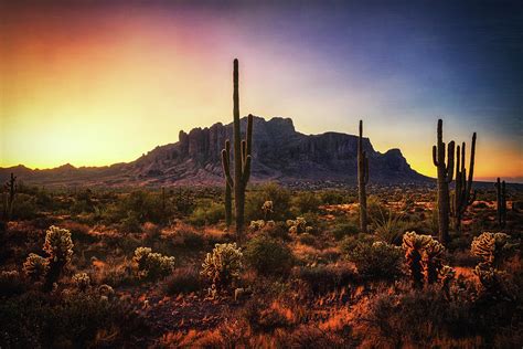 A Glorious Sonoran Morning Photograph By Saija Lehtonen Fine Art America