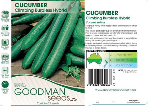 Cucumber Cucumber Climbing Burpless Goodman Seeds Flower And Vegetable Seed Greenhouses