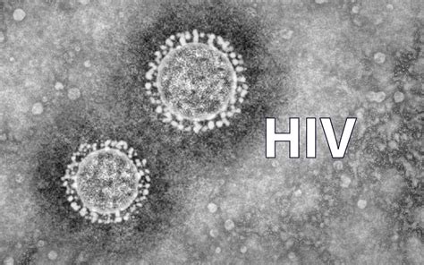 The Virus Of The Month Hiv Virology Research Services