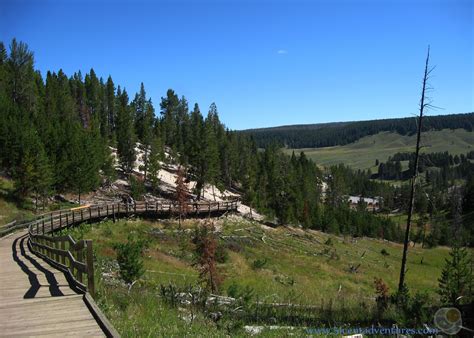 Check spelling or type a new query. 51 Cent Adventures: Mud Volcano Area - Yellowstone ...