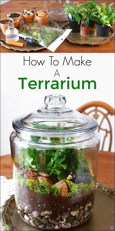 Easy Step By Step Instructions For How To Make A Terrarium Counting
