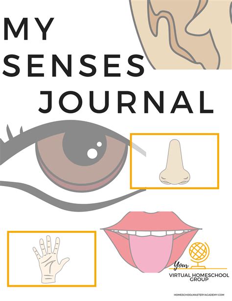 In 1999 aaron baker broke his neck in a motocross accident, leaving him completely paralyzed from the neck down. My Senses Journal • Learn the 5 Senses