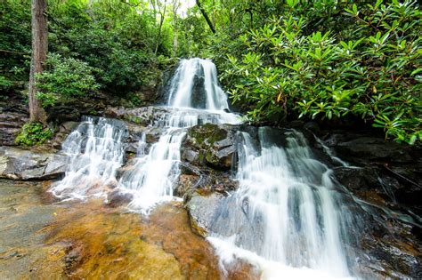 5 Beginner Level Smoky Mountain Hikes By