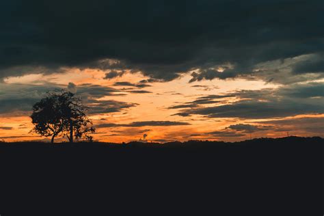 Cloudy Orange Sunset Over Field With Trees · Free Stock Photo
