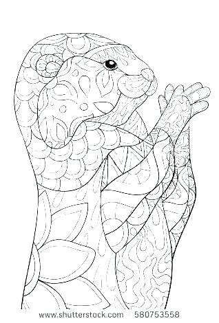 The otter coloring pages also available in pdf file that you can download for free. Otter Coloring Pages at GetColorings.com | Free printable ...