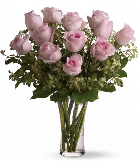 Buy One Dozen Long Stemmed Pink Roses Online At Bloomex Canada