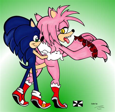 Rule 34 Amy Rose Amy Rose The Werehog Anthro Blue Hair