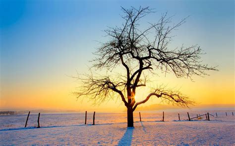 Winter Sunrise Wallpapers Top Free Winter Sunrise Backgrounds