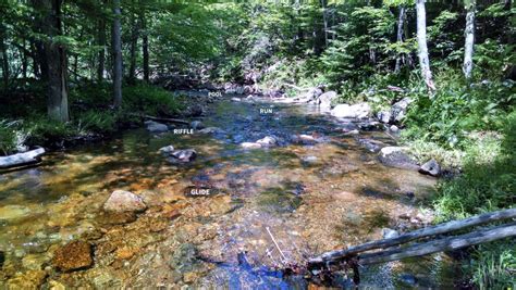Stream Features Riffle To Glide Ausable River Association