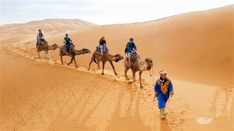 Morocco The Desert Experience Sahara On Camel Back And The Tuareg