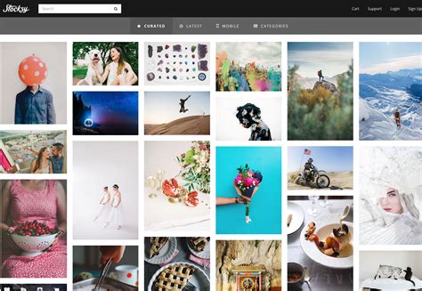 Adobe Slaps Users In The Face Launches Adobe Stock Diyp