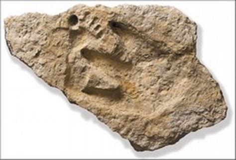 Dinosaur Tracks With Human Footprints